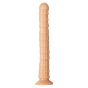 Sextoy Ventouse